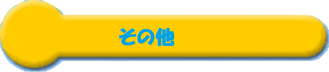 ���̑�